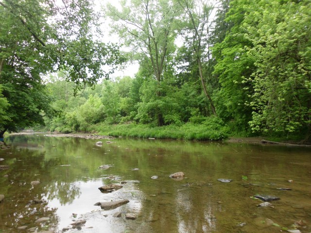 gardencreek 06092012 002