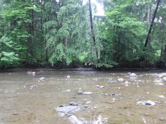 gardencreek 06092012 003 Our creek.